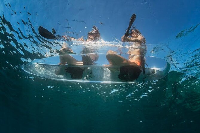 1.5-hour Clear Kayak Rentals: Explore Verudela Cave & Islands - The guides make a practical difference