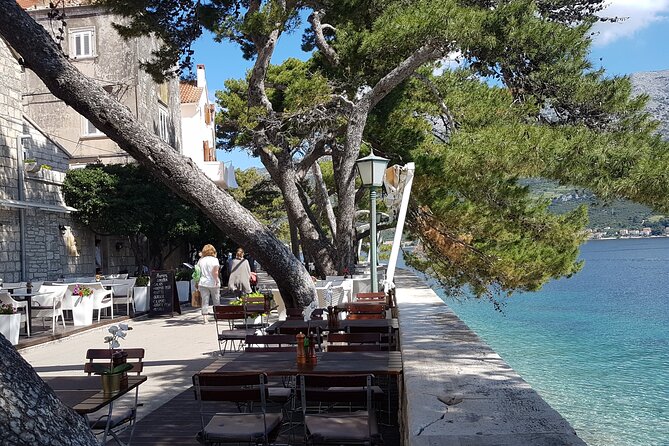 1 Hour Private Walking Tour in Korcula - Who will enjoy this Korčula walk most?
