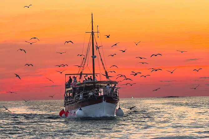 2-Hour Dolphin Guided Safari NP Brijuni from Fazana - Why the 6 p.m. departure matters
