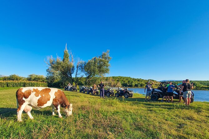 2 hours Beginner Quad Tour at Dalmatia Inland - Key points at a glance