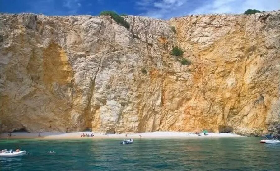 3,5h Wild Bays: Swim & Snorkel with Capt. Bobo (Public) - What the public format means at $41