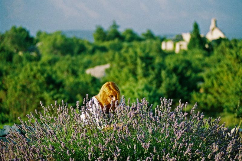 3-Hour Lavender Tour from Hvar - Group size, pickup, and timing