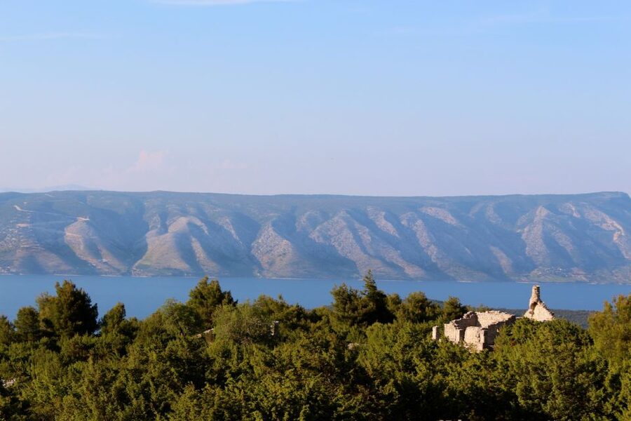 3-Hour Lavender Tour from Hvar - Napoleon and the first wide view