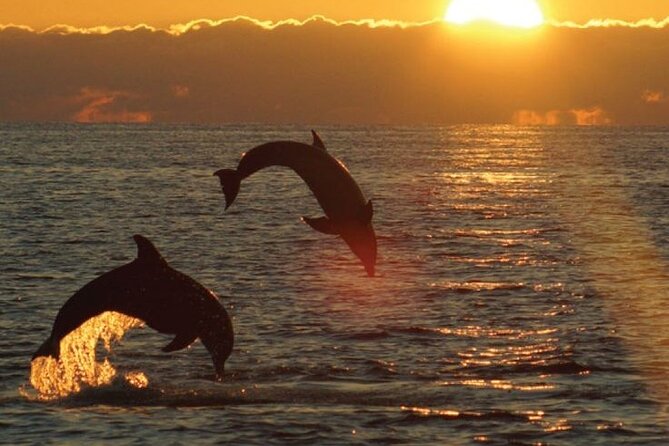 3hours all inclusive Sunset&Dolphin Tour from Medulin on Sandra - At a glance: what makes this cruise worth considering