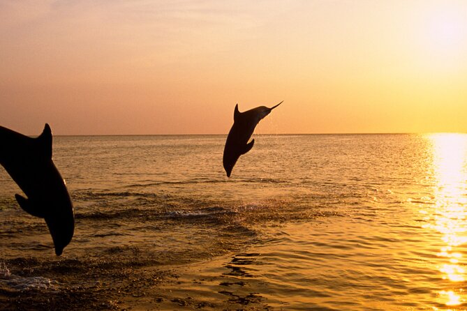 3hours all inclusive Sunset&Dolphin Tour from Medulin on Sandra - Leaving Medulin Harbor as the light softens