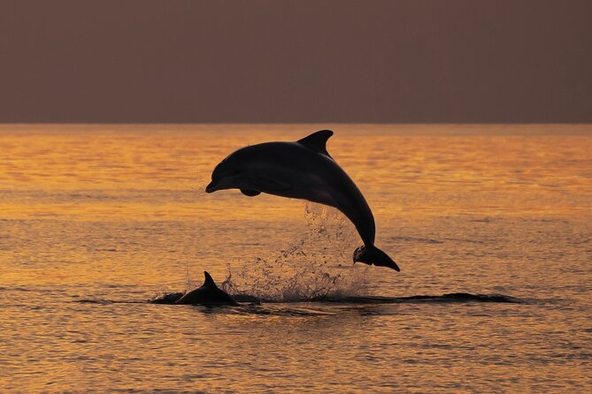 3hours all inclusive Sunset&Dolphin Tour from Medulin on Sandra - Porer Lighthouse and the evening view