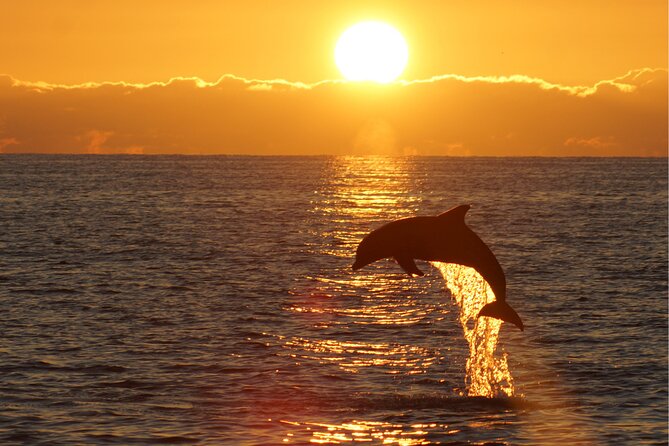 3hours all inclusive Sunset&Dolphin Tour from Medulin on Sandra - Dinner on board: useful, simple, and included