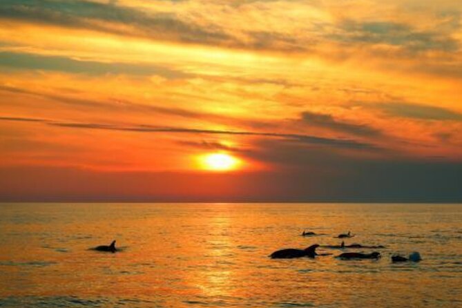 3hours all inclusive Sunset&Dolphin Tour from Medulin on Sandra - Crew, explanations, and onboard atmosphere