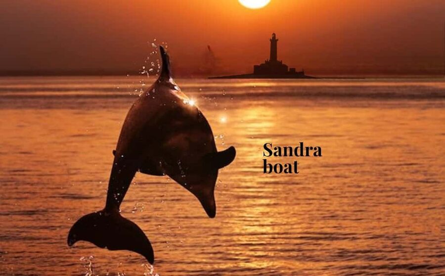 3hours Dolphin Sunset watching with unlimited drinks +dinner - Cruising past Cape Kamenjak