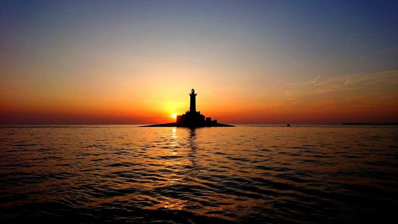 3hours Dolphin Sunset watching with unlimited drinks +dinner - Dinner on board, with three choices