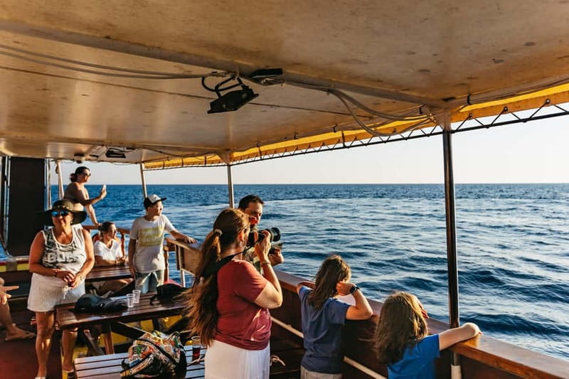 3hours Dolphin Sunset watching with unlimited drinks +dinner - Practical value at $45 per person