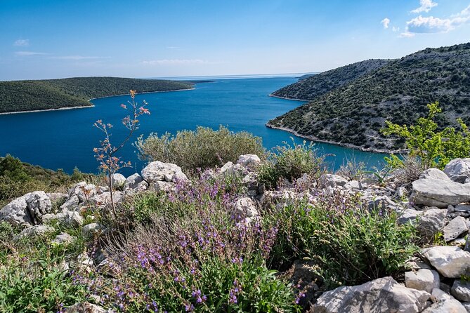 4-hour private boat tour: Discover the beauties of Istria - Leaving Rakalj and taking in the coast