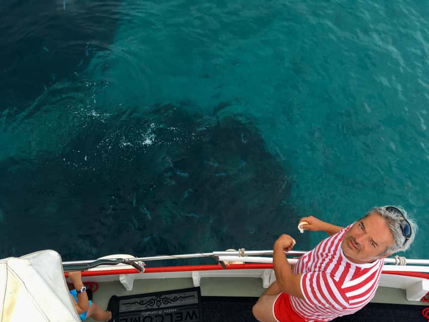 5h Plavnik Island: Swim & Snorkel with Capt. Bobo (Public) - Leaving Punat for Plavnik Island