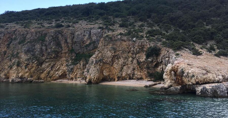 5h Plavnik Island: Swim & Snorkel with Capt. Bobo (Public) - Griffon vultures on the far side of the island