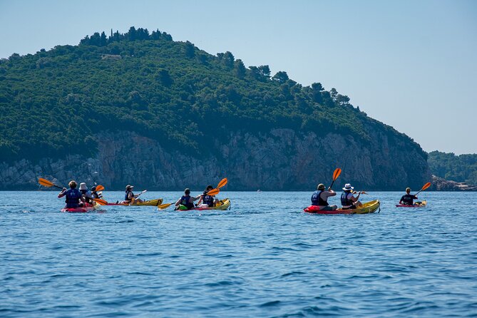Afternoon Dubrovnik Guided Kayaking Tour - What the $35.95 price really covers