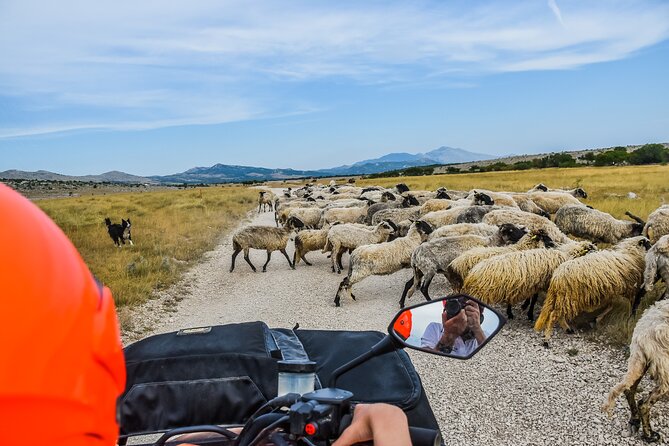 ATV Dinara Mountain tour with picnic - Group size, pace, and weather