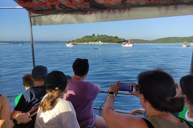 Beautiful Sunset and Dolphin Watching - Practical planning for your evening