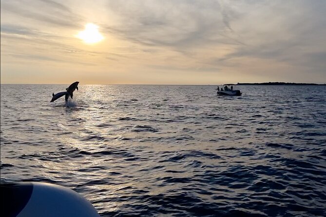 Beautiful Sunset and Dolphin Watching - The sunset is more dependable than the wildlife