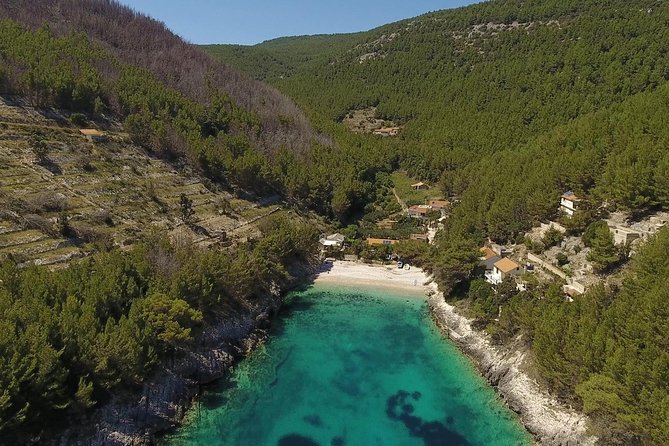Best of Korcula island winery's by 4X4 Canam buggys with lunch - Korcula’s vineyards, olive groves, and back roads