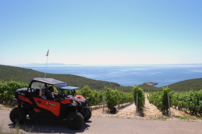 Best of Korcula island winery's by 4X4 Canam buggys with lunch - Learning the Can-Am before the rougher roads