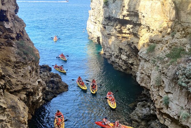 Bike Experience through Kamenjak - Safari Bar, refreshments, and swimming time