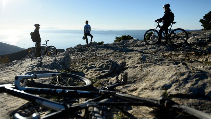 Biking Vidova - Skrip & museum of olive oil - Splitska - Postira - A downhill ride beneath Brac’s black pines