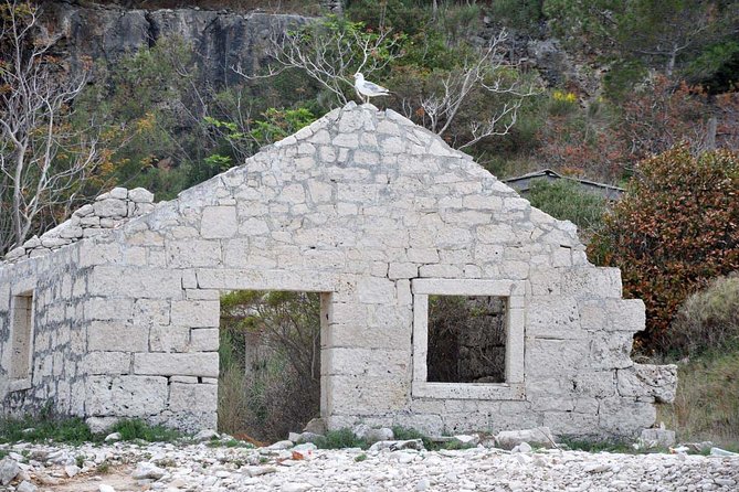 Bits of History - Half day kayak Tour with Wine delight - Remote beaches and a chance to swim