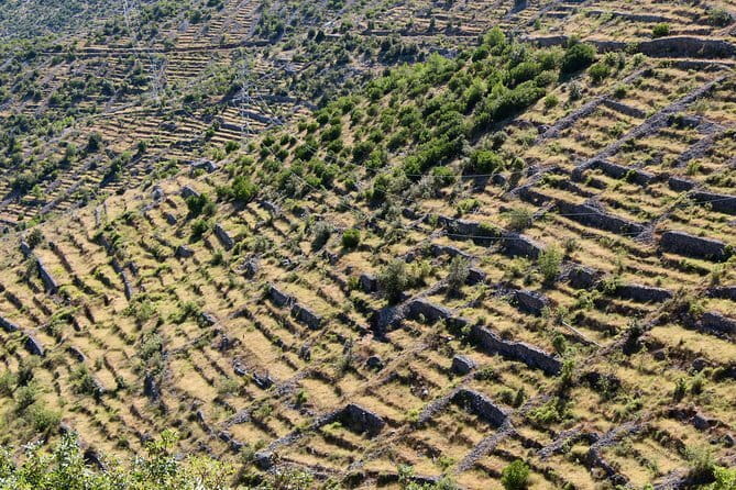 Blue and Green Cave private speed boat tour - Is the $844.78 Group Price Good Value?