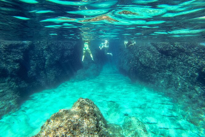 Blue Cave, Green Cave & Lopud Beach small group Speed boat Tour - Who will enjoy this half-day trip?