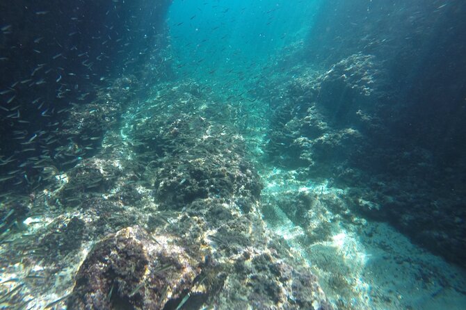 Blue cave tour with a speedboat-small group - Blue caves, clear water, and time in the sea