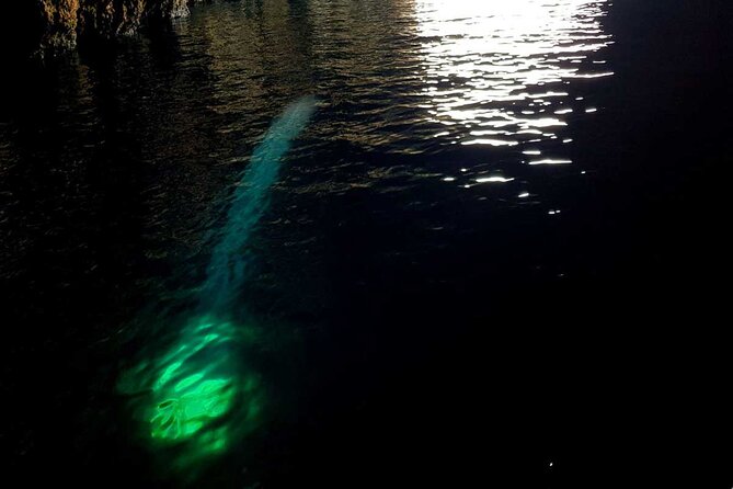Blue & Green Cave Vis Island and Pakleni Islands Private Day Trip from Hvar - Who will enjoy this tour most
