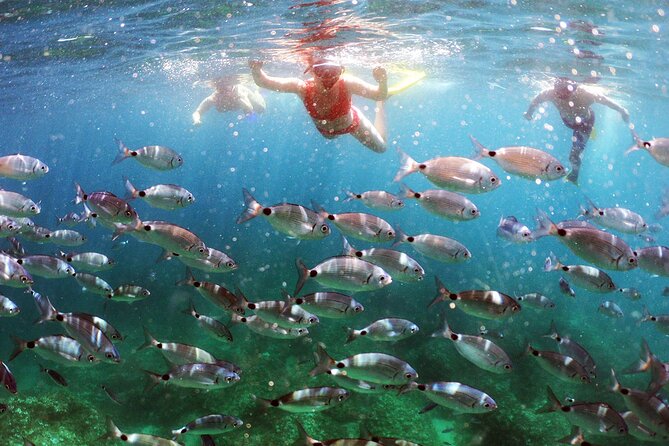 BOAT & KAYAK! Sea Adventure - Snorkeling & Cliff Jumps - Key points to know before you book