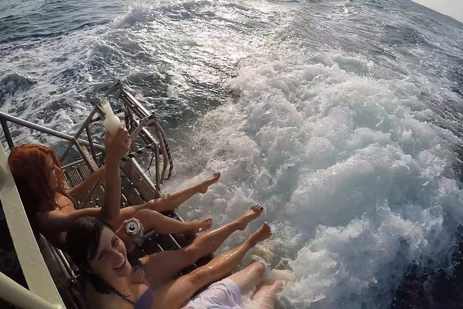 Boat tour swimming snorkeling south Istria Kamenjak Premantura - What you may see below the surface