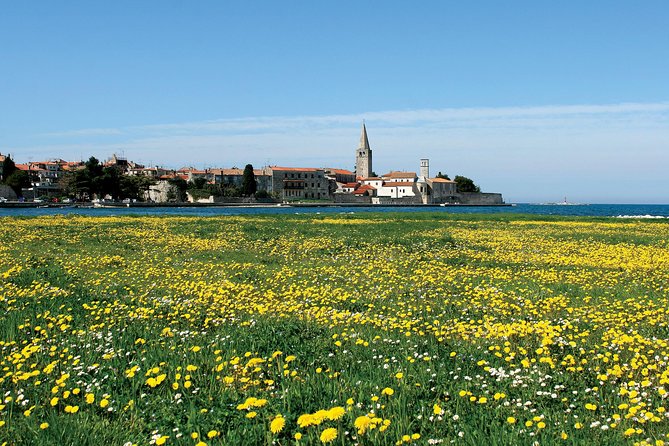 Boat trip to Rovinj and Vrsar from Poreč with lunch - The return trip to Poreč