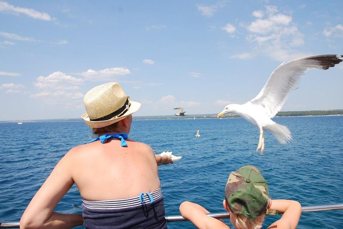 Brijuni National Park Boat Excursion from Pula. With a visit to the island - What the cruise feels like on board