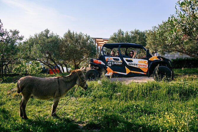 Buggy Dubrovnik Safari Tour (Private) - Mount Srđ at 15 minutes above the city
