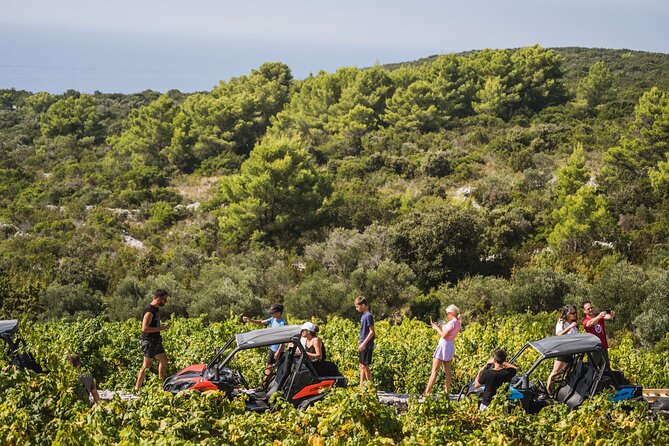 Buggy Safari With Wine Tasting - Why this buggy tour makes sense on Korcula