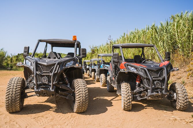 Buggy Safari With Wine Tasting - Is $114.14 a fair price?