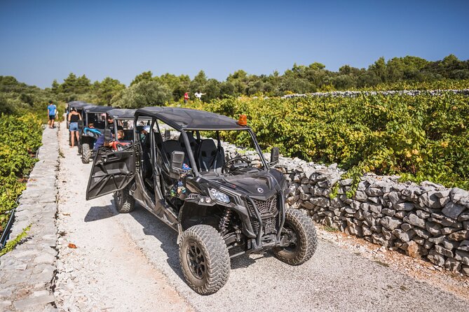 Buggy Safari With Wine Tasting - Getting comfortable behind the wheel