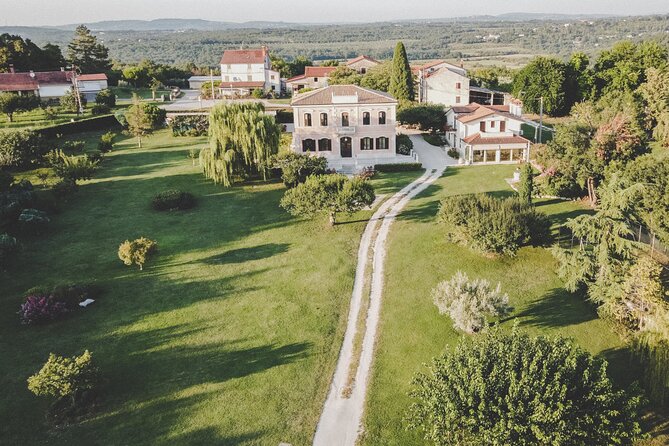 Buje: Authentic Istrian family farm, guided walk, foods & wine - Why this farm visit feels different