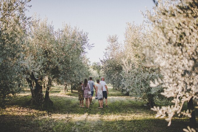 Buje: Authentic Istrian family farm, guided walk, foods & wine - Finishing with olive oil ice cream