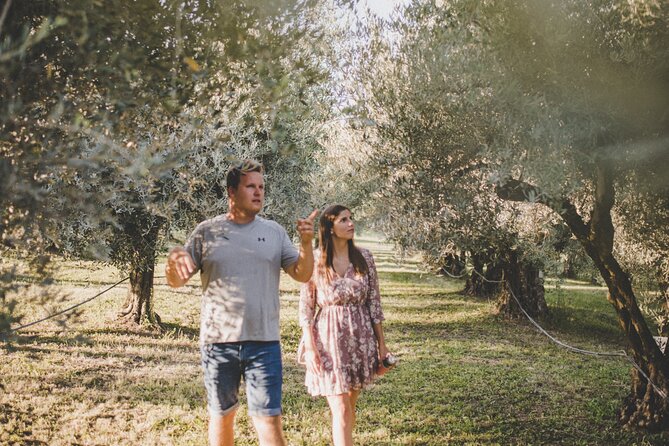 Buje: Authentic Istrian family farm, guided walk, foods & wine - Walking through the orchard and olive grove