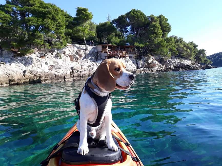 Cavtat: 'Pomalo' Guided Sea Kayaking Tour - Why Cavtat is especially good from a kayak