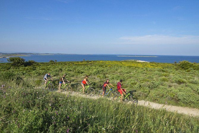 Chill Sunset Tour with E-Bike - Looking for dolphins along the Adriatic Coast