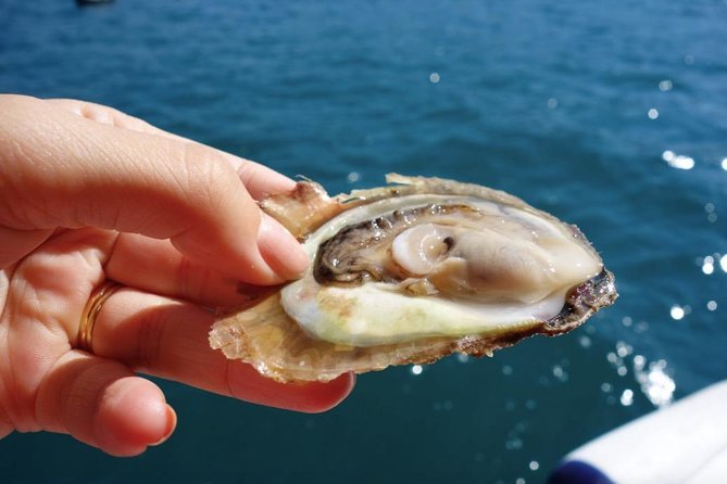 Classic Tour with Wine Tastings from Dubrovnik - Why Peljesac makes a good wine day from Dubrovnik