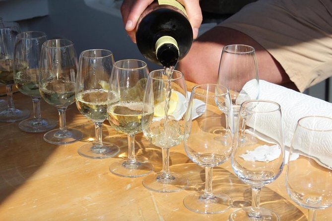 Classic Tour with Wine Tastings from Dubrovnik - Who should book this Peljesac day trip