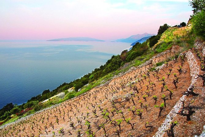 Classic Tour with Wine Tastings from Dubrovnik - The drive from Dubrovnik to Peljesac