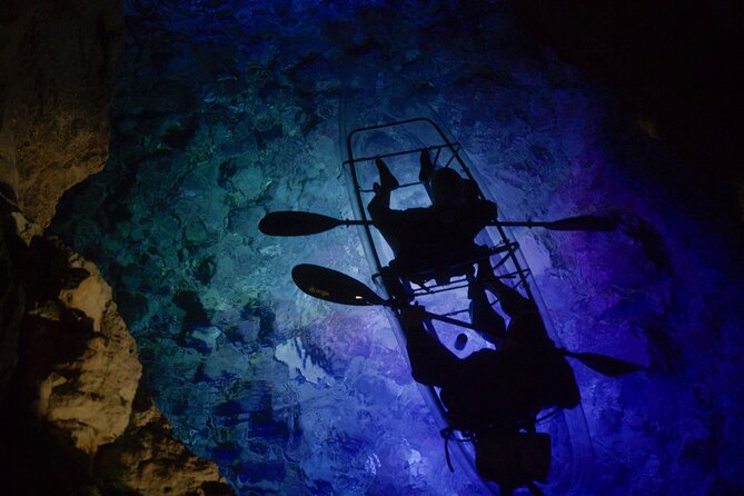 Clear Kayak Glow Night Tour - What the LED lights let you see