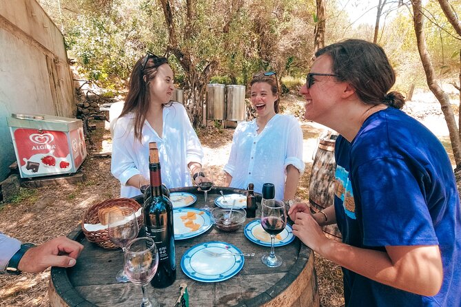 Coastal Vineyards: A Dream Wine Tour to Elaphiti Islands - Leaving Dubrovnik for the Elafiti Islands