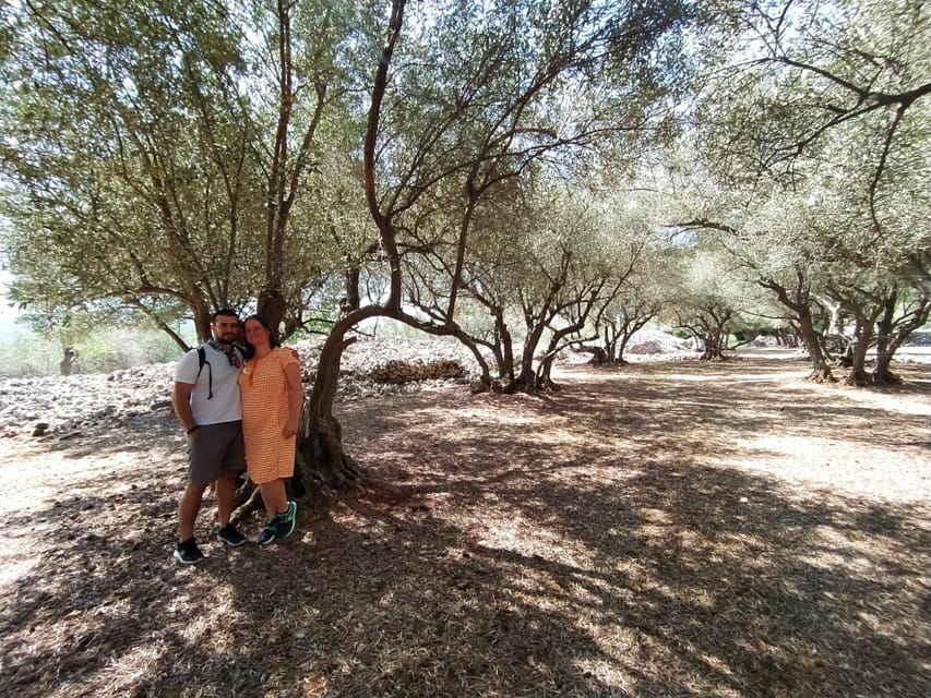 Cres: Olive Oil Walking Tour with Tastings - Practical Advice for a Comfortable Visit